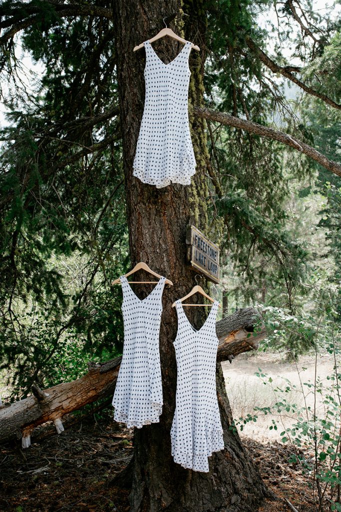 Freestone Inn Methow Valley Wedding