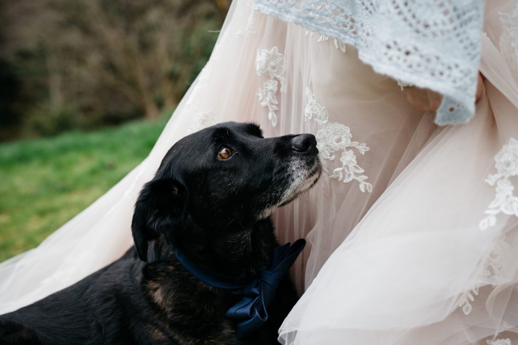 Whidbey Island Wedding Photography