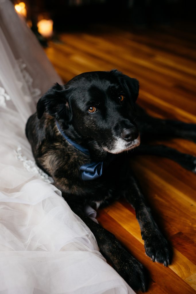 Whidbey Island Wedding Photography